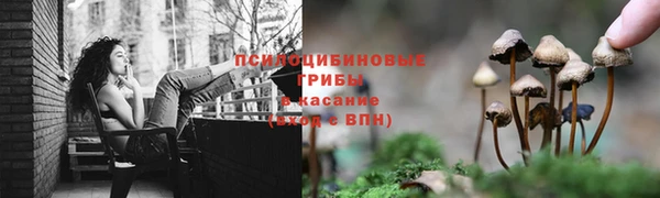 первитин Верхний Тагил